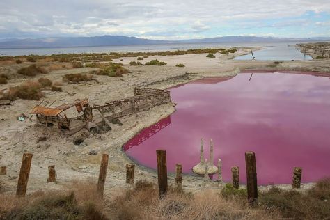 Salton Sea: As the Salton Sea ... Salton Sea California, Desert Paradise, Salt City, Salvation Mountain, Salton Sea, Strange Places, Urban Legends, California Beach, At The Lake