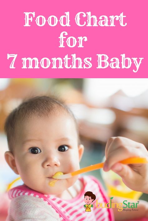 Mommies….!! As your baby has turned 7 months old, so now he/she is all ready to step forward from vegetable/ fruit purees to more varieties of food. Find diet plan for 7 months baby. #FoodChart #7Months Baby Food For 7 Month Old Recipes, Foods For 7 Month Old Baby, Food For 7 Month Old Baby, 7 Month Old Baby Food, 7 Months Baby Food, Indian Diet Plan, 9 Month Baby Food, Baby Meal Plan, 7 Month Baby