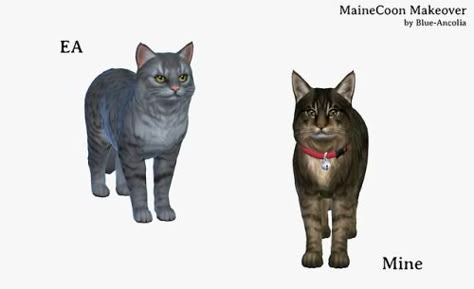 Blue Ancolia - Maine Coon Makeover  Here is Eclypse. She is a... Blue Ancolia, Quiet Cat, Sweet Lady, Sims 4 Cas, Maine Coon, The Sims 4, Sims Cc, Personalities, The Sims