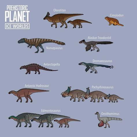 Planet Drawings, Prehistoric Planet, Dino Drawing, Funny Lizards, Planet Drawing, Arctic Tundra, Prehistoric Wildlife, All Dinosaurs, Dinosaur Images