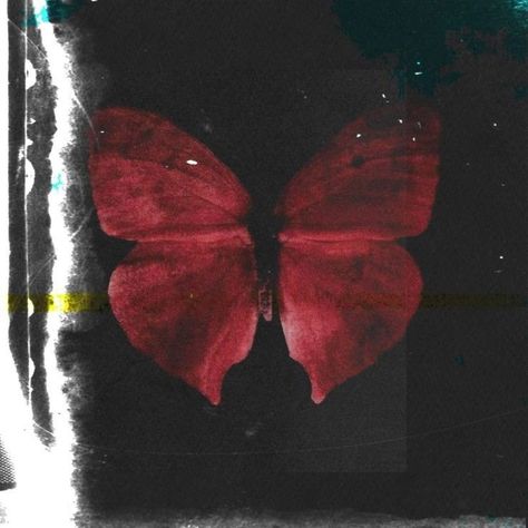 I See Red, Red Butterfly, Into Art, Ethereal Art, Alam Yang Indah, Aesthetic Images, Red Aesthetic, Dark Aesthetic, Pretty Pictures