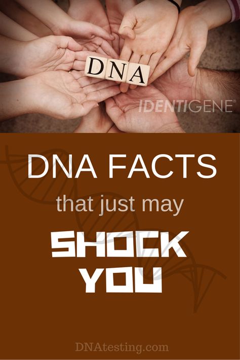 Paternity Test Results, Dna Facts, Dna Fingerprinting, Dna Genetics, Medical Assistant Student, Dna Test Results, Hair Facts, Facts About Humans, Dna Testing