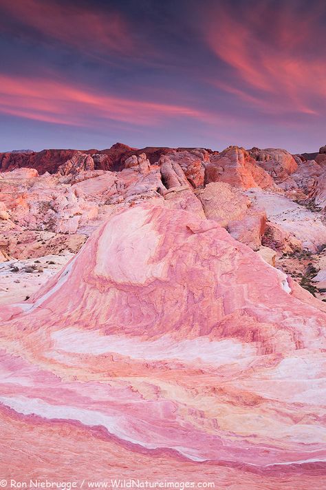 Valley Of Fire State Park, Las Vegas Photos, Pink Desert, Image Nature, Valley Of Fire, Photo Blog, Nature Aesthetic, Pretty Places, The Desert