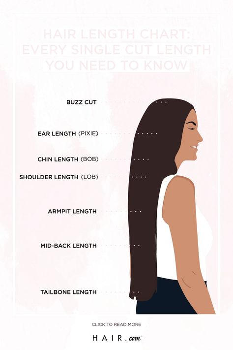 Types Of Hair Lengths, Long Hair Length Chart, Tailbone Hair Length, Tailbone Length Hair Styles, Hair Growth Chart In Months, Fox Haircut Long Hair, Lengths Of Hair Chart, Different Lengths Of Hair Chart, Haircut Lengths Chart