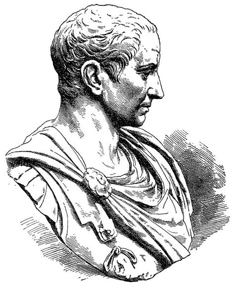 Ancient Rome Drawing, Roman Drawings, Gaius Julius Caesar, Roman Kings, Dibujos Ideas, Drawing 101, Rome Antique, Tutorials Drawing, Julius Caesar