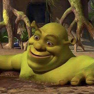 Shrek Funny, Shrek Memes, Snapchat Funny, Funny Profile Pictures, Funny Reaction Pictures, Cute Memes, 10 Seconds, Shrek, Really Funny Pictures