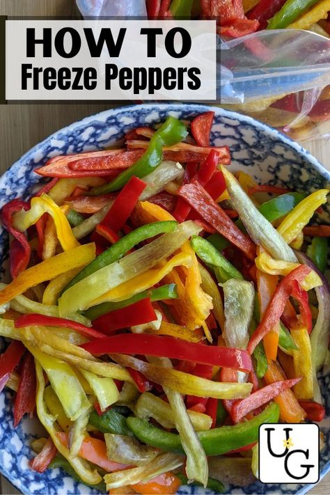 How To Freeze Peppers, Freeze Peppers, Freezing Peppers, Fried Peppers, Quick Meal Prep, Fajita Recipe, Quick Meal, Spice Recipes, Stir Fries