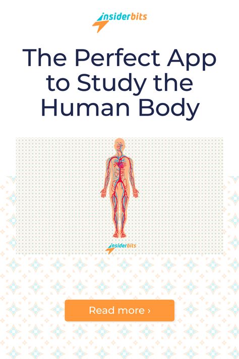 Skeleton | 3D Anatomy is an app to study the human body. It was designed ... Read More → Anatomy Apps, Anatomy App, 3d Anatomy, Body Joints, Free Content, Educational Apps, Human Anatomy, Augmented Reality, The Human Body