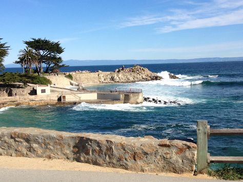 Lovers point monterey! Sweet California, Mexican Border, Sierra Nevada Mountains, Redwood Forest, Mojave Desert, Central Valley, Family Vacations, Sierra Nevada, Beach Aesthetic