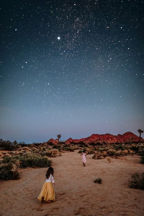 Desert Life Aesthetic, Night In The Desert, Joshua Tree Night, Desert Lifestyle, Family Camping Photography, Night Photography Portrait, Desert Photoshoot, Desert Palm, Desert Aesthetic