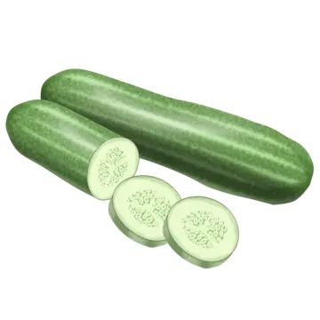 cucumber,green,green cucumber,cucumber illustration,delicious cucumber,vegetables,cartoon cucumber,fresh cucumber,beautiful cucumber,green vegetables,sliced cucumber,cucumber decoration,cucumber slices,cucumber material,cucumber vegetables,vegetable cucumbers,painting and painting cucumber,cucumber slice,hand drawn cartoon cucumber,hand painted cucumbers,hand drawn cucumbers,cucumber drawing,organic vegetables,sliced,fresh vegetables,cute cucumber,growing cucumbers,hanging cucumber,green leaves,fruits and vagetables,creative cucumber,three-dimensional cucumber Cartoon Cucumber, Cucumber Drawing, Cucumber Illustration, Cucumber Decoration, Cute Cucumber, Cucumber Growing, Cucumber Vegetable, Sliced Cucumber, Vegetable Slice