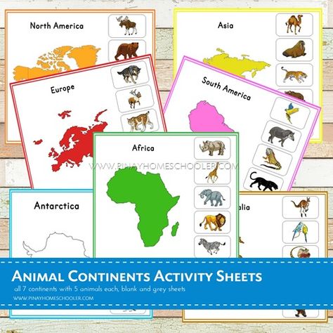 Montessori Inspired Animal Continents Activity Sheets Continents Activities, Layers Of The Ocean, Montessori Geography, Montessori Printables, Animals Around The World, Practical Life Activities, Continents And Oceans, Homeschool Geography, Printable Animals