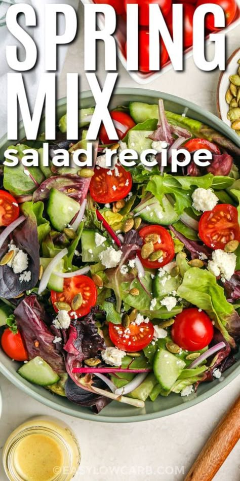 It’s so easy to eat low-carb when recipes like this spring mix salad are on the menu! Tender spring greens are mixed with pumpkin seeds, cherry tomatoes, cucumber, and red onion, and coated with a zesty Dijon dressing with feta cheese crumbles. Add other seeds or nuts to your taste! Make it a chef salad by adding diced meats or chicken, and fresh or dried fruits such as chopped apple, strawberry, or dried cranberry. #springmixsaladrecipe #springmixsalad #easylowcarb #springmixsaladrecipessimple Salad Mix Recipes, Spring Greens Salad, Spring Mix Salad Recipes, Greens Vegetables, Mix Salad, Lettuce Salad Recipes, Spring Mix Salad, Greens Salad, Spring Salad Recipes