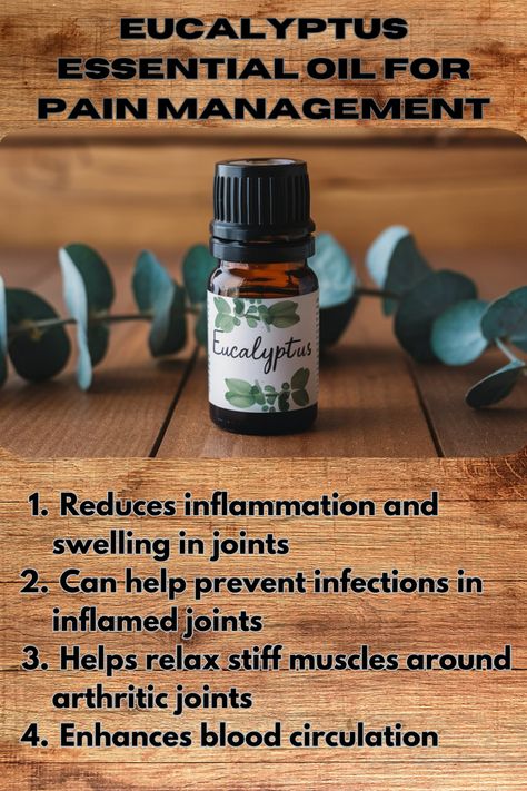 Eucalyptus essential oil is well-known for its ability to relieve pain and inflammation, particularly for respiratory issues and muscle pain. It’s also a powerful anti-inflammatory that helps clear your airways while soothing sore muscles.

#essentialoilsuses #essentialoilsbenefits  #naturalcuresandremedies #naturalremediesforarthritis #naturalremediesforgoodhealth #MuscleRecovery #wellnessjourney #diy #wellness #wellbeing Essential Oils For Respiratory Issues, Essential Oils For Muscle Pain, Essential Oils For Inflammation, Back Spasm, Diy Wellness, Essential Oils For Pain, Essential Oil Diffuser Blends Recipes, Essential Oil Diffuser Blends, Oil Diffuser Blends