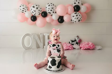 Cow 1st Birthday Pictures, Cow Cake Smash Photography, Cow 1st Birthday Photoshoot, Cow Smash Cake Photoshoot, Cow Birthday Photoshoot, Cow Cake Smash 1st Birthdays, Cow Birthday Smash Cake, Cow Print Smash Cake Girl, Cow Themed Smash Cake