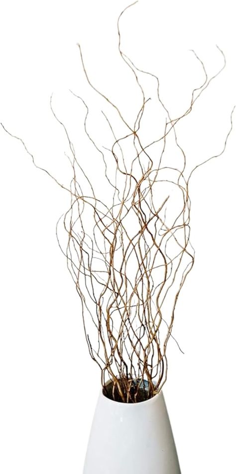 Amazon.com: Green Floral Crafts | 12 Stem Dried Curly Willow Branches 3-4 Feet Tall - Perfect Home Decoration and Floor Vase Filler (Natural) : Arts, Crafts & Sewing Curly Willow Branches, Floor Vase Fillers, Floral Crafts, Curly Willow, Willow Branches, Floral Craft, Floor Vase, Amazon Art, Sewing Stores