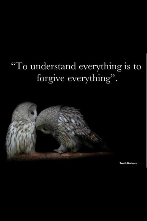 "Seek to understand." Mother Teresa Patience Tattoo, Owl Quotes, Owl Wisdom, Beautiful Quotes, Spirit Animal, Great Quotes, Spiritual Quotes, Wisdom Quotes, Words Quotes