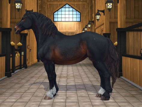 Star Stable Horse Breeds, Star Stable Horses, Horse Png, Ghibli Fanart, Horse Star, Studio Ghibli Fanart, Game Star, Star Stable Online, Horse Games