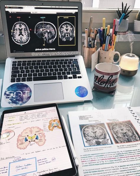 study desk decor, study aesthetic, study motivation, study coffee, study notes, study table Medical Student Motivation, Med School Motivation, Medical Student Study, Medical School Motivation, Medicine Student, Medical School Inspiration, Study Organization, College Study, Hope Mikaelson