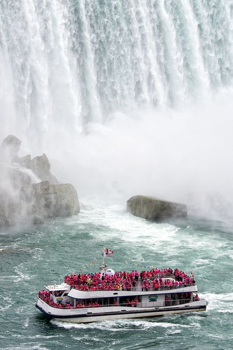 Don't go chasing waterfalls...unless your on a ‪#‎NiagaraCruises‬ boat wearing a red poncho! ‪#‎MotivationalMonday‬ Ball Photos, Water Falls, Love Note, Summer Memories, Round The World, Boat Tours, Big Love, Family Portrait, Water Crafts