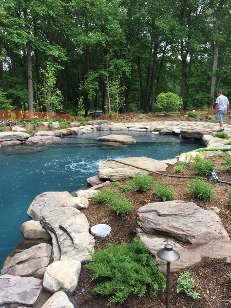 Pool Waterfall Ideas, Pool Waterfalls, Waterfall Ideas, Swimming Pool Pond, Natural Swimming Ponds, Residential Pool, Stone Pool, Frederick Maryland, Pool Landscape Design