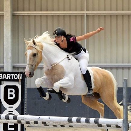 Casually #nosaddle #nohands jumping by @alycia_burton_freeridingnz . . Follow us @equestrianbootsandbridles for more #horsesofinstagram & #dailyhorses Alycia Burton, Equestrian Jumping, Bareback Riding, Show Jumping Horses, Equestrian Aesthetic, Horse Riding Equestrian, Barrel Racing Horses, Dream Horse, English Riding