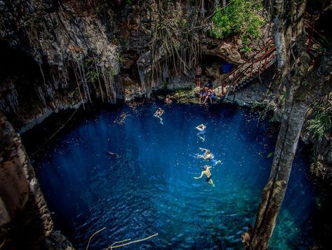 What excursion should you do in Progresso, Mexico? A Yucatán Cenote Excursion - Family Travel Go Progresso Mexico, Underwater Caves, Merida Mexico, Mexico Cruise, Area Map, Dream Destination Wedding, Yucatan Mexico, Mayan Ruins, Cozumel