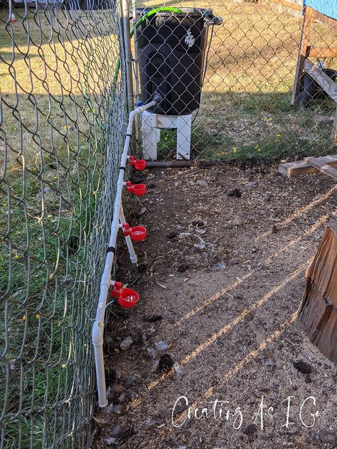 Diy Rain Barrel Chicken Waterer, Poultry Waterer Diy, Large Chicken Waterer Diy, Diy Automatic Chicken Waterer, Automatic Duck Waterer, Chicken Coop Food And Water Ideas, Rain Barrel Chicken Waterer, Chicken Coop Enrichment Ideas, Large Chicken Waterer