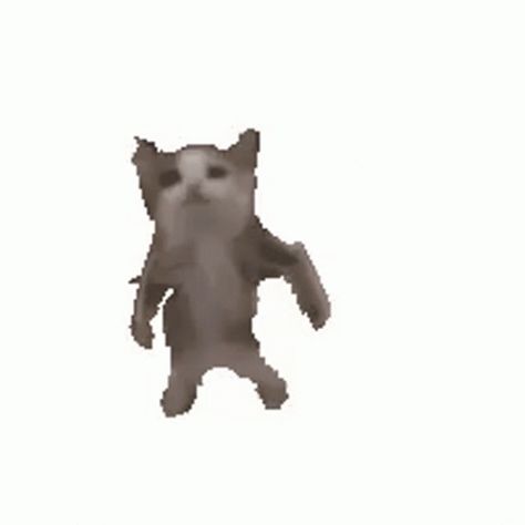 Cat Dancing GIF - Cat Dancing Gangnam Style - Discover & Share GIFs Dancing Cat Gif, Dancing Gif, Dancing Cat, Gangnam Style, Cat Icon, Silly Animals, Silly Cats, Cute Gif, Cat Gif