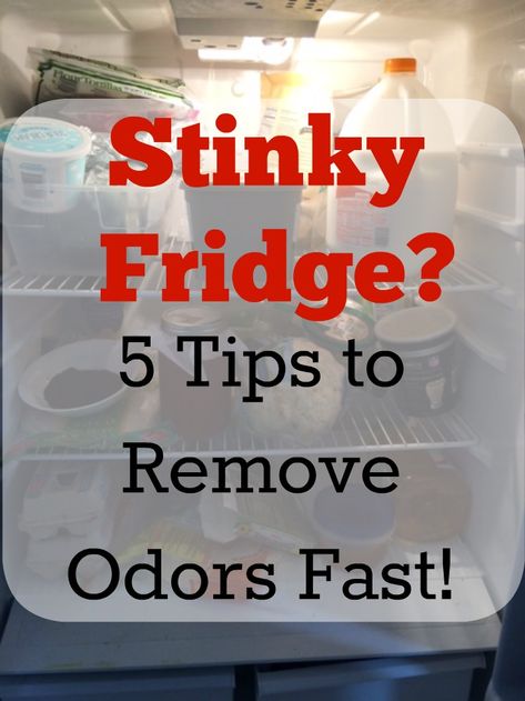 Stinky Fridge? Use these 5 natural tips to remove odors fast! Cleaning Business Checklist, Cricut For Beginners, Fridge Odor, Natural Cleaning Products Diy, Professional House Cleaning, Toxic Cleaning Products, Business Checklist, Spring Cleaning Hacks, House Cleaning Checklist