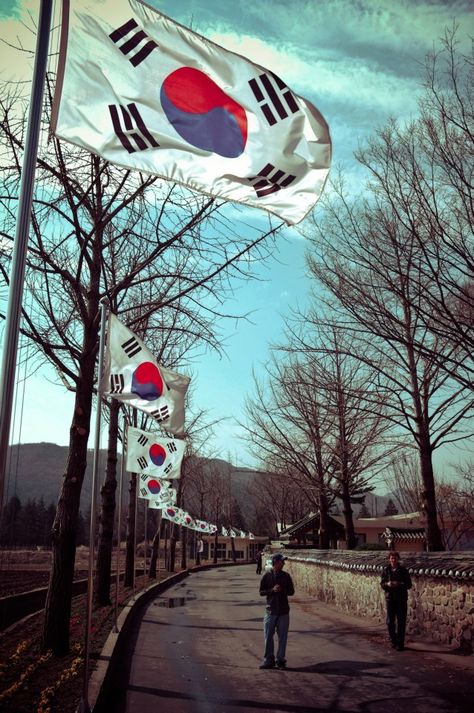 South Korean flags South Korean Flag, South Korea Flag, Korean Photography, South Korea Photography, Seoul Korea Travel, Korean Flag, Korea Wallpaper, South Korea Seoul, Level 7