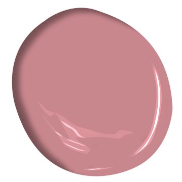 Benjamin Moore Mauve, Benjamin Moore Colors, Baby Themes, Benjamin Moore, Toast, Paint, Tableware, Pink, Color