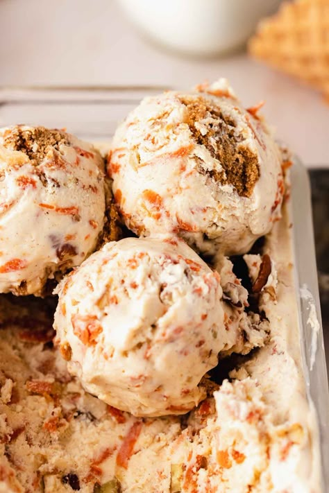 Ice Cream Cake Cookies And Cream, Ice Cream Carrot Cake, Carrot Ice Cream Cake, Carrot Cake Ninja Creami, Sourdough Ice Cream, Carrot Cake Ice Cream Cake Recipes, Carrot Cake Ice Cream Recipe, Carrot Ice Cream, Vanilla Sprinkle Cake