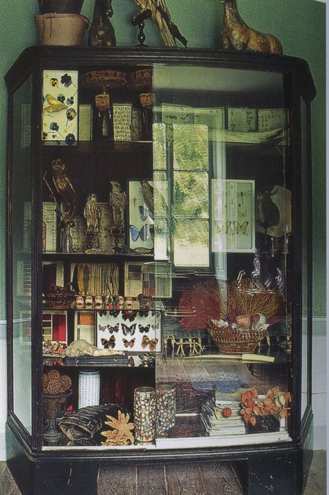 . Outset Island, Cabinet Of Curiosity, Curiosity Cabinet, Curiosity Shop, Cabinet Of Curiosities, Green Walls, Deco Boheme, Curio Cabinet, Shadow Boxes