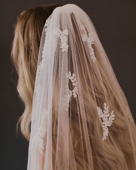 Untamed Petals by Amanda Judge’s Instagram profile post: “FASHION WEEK FAVORITE... We are obsessed with the all white beading on our new FONTELLA veil. She is completely hand beaded in a white…” Friday Wedding, Wedding Reception Planning, Evening Wedding, Marriage Ceremony, Wedding Night, Wedding Veil, Wedding Veils, Wedding Vows, Bridesmaid Bouquet