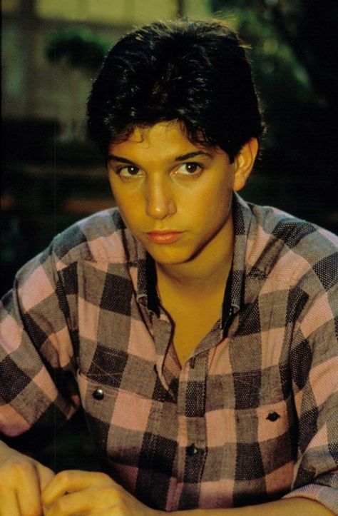 Ralph Macchio The Outsiders Johnny, Daniel Karate Kid, Ralph Macchio The Outsiders, Outsiders Cast, The Outsiders Imagines, Robin Scherbatsky, The Karate Kid 1984, Karate Kid Movie, 80s Actors