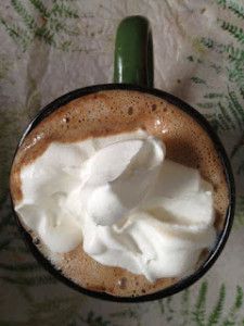 Golo Diet, Coffee Protein Shake, Protein Oatmeal, Bariatric Diet, Protein Coffee, Protein Smoothie Recipes, Protein Pudding, Smoothie Drink Recipes, Chocolate Day