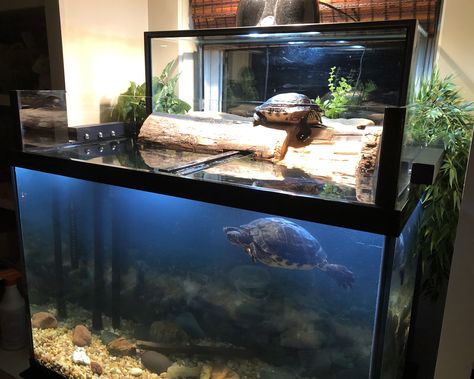 Large Turtle Tank Ideas, 75 Gallon Turtle Tank Ideas, Turtle Tub, Turtle Basking Area, Aquatic Turtle Habitat, Turtle Cage, Aquatic Turtle Tank, Turtle Tank Setup, Turtle Terrarium