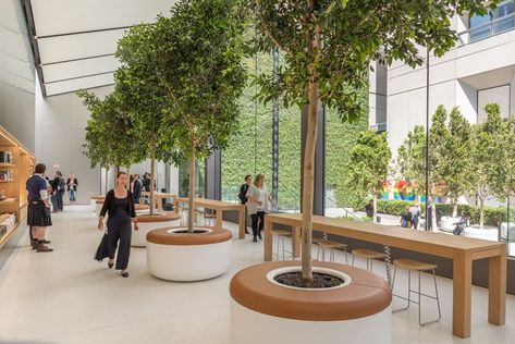 foster-+-partners-apple-union-square-san-francisco-designboom-04 Apple Store Design, Union Square San Francisco, Eco Friendly Interior, Retail Trends, Foster Partners, Indoor Trees, Norman Foster, Union Square, The Grove