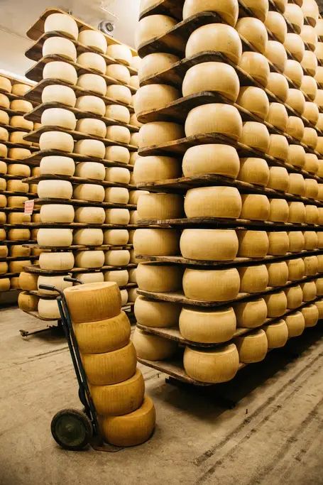 The Secrets of Parmigiano Reggiano - Airbnb Lambrusco Wine, Dairy Snacks, Types Of Vinegar, Milk Processing, Cheese Store, Making Cheese, Cheese Wheel, Cheese Factory, Cheese Tasting