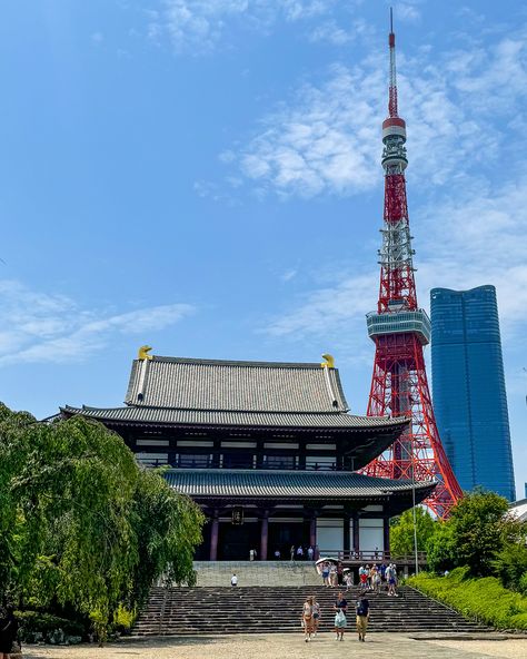 Zojo-ji temple in the heart of Tokyo is a great place to visit especially as you also get great views of Tokyo tower here🗼 #zojoji #tokyotower #tokyotokyo #visitjapan #tokyocameraclub #tokyotravel #tokyoandaroundtokyo Tokyo Tower, Tokyo Travel, Place To Visit, Visit Japan, Great View, In The Heart, Great Places, Temple, Places To Visit