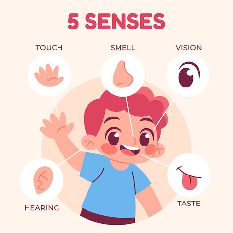 Free vector hand drawn 5 senses illustra... | Free Vector #Freepik #freevector #five-senses #senses #nose #eye-illustration Vector Hand, Alphabet Activities, Character Illustration, Graphic Resources, Vector Free, Alphabet, How To Draw Hands