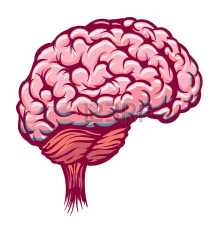 This brain is ideal <3 Zombie Brain, Cartoon Brain, Zombie Brains, Zombie Illustration, Brain Illustration, After Movie, Zombie, Rooster, Halloween Party