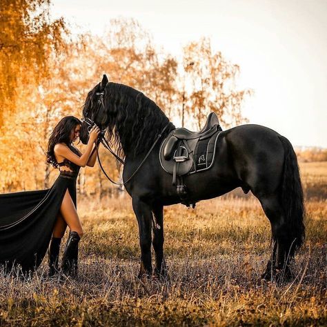 Horse Of Day on Instagram: “😍😍🐎 Follow @horseofday for more By 📷 @fairytale.horse  Tag your friends👇” Friesian Horse Photography, Horse Senior Pictures, Split Prom Dresses, Horse Dressage, Horse Face, Friesian Horse, Horse Life, Tag Your Friends, Horse Photography