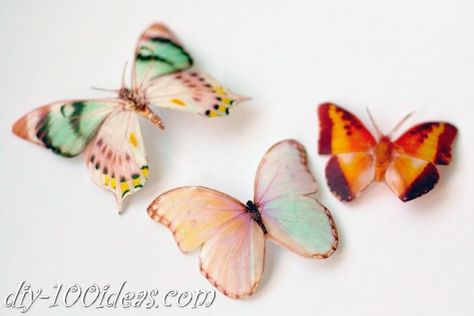 DIY Butterfly from plastic bottles | DIY 100 Ideas Butterfly Kaleidoscope, Diy Outdoor Projects, Diy Butterfly Decorations, Plastic Bottle Crafts Diy, Silk Butterfly, Reuse Plastic Bottles, Butterfly Hair Clips, Plastic Bottle Art, Pretty Butterfly