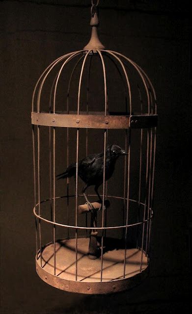 Logro entrar y justo cuando iba a tomar la receta lo, encontró un mozo del castillo, lo enjaulo y lo bajo al sótano. Bird In A Cage, Industrial Clocks, The Caged Bird Sings, French Clock, Birdcages, Outdoor Stuff, Glass Cloche, Arches Paper, Old Frames