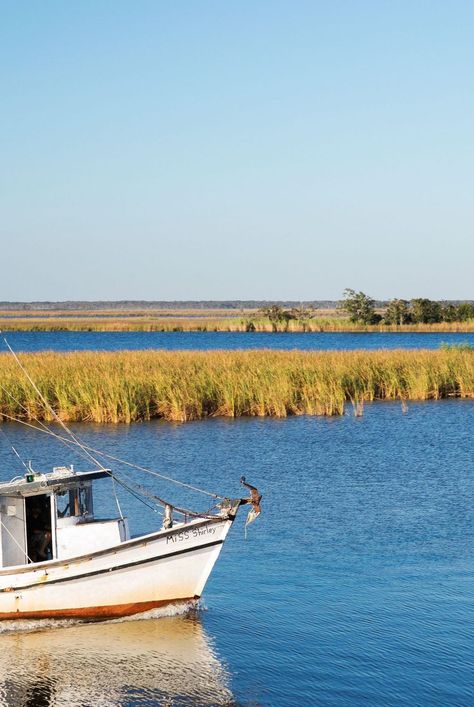 Apalachicola is brimming with charm. From relaxing in a historic inn, to savoring oysters, to discovering remote beaches, here are our top picks. #apalachicola #florida #vacation #southernvacations #thingstodoinflorida #southernliving Ghosts Of Saltmarsh, Apalachicola Florida, Southern Road Trips, Florida Travel Destinations, Fishing Pond, River Town, Blue Crabs, Southern Travel, Antebellum Homes