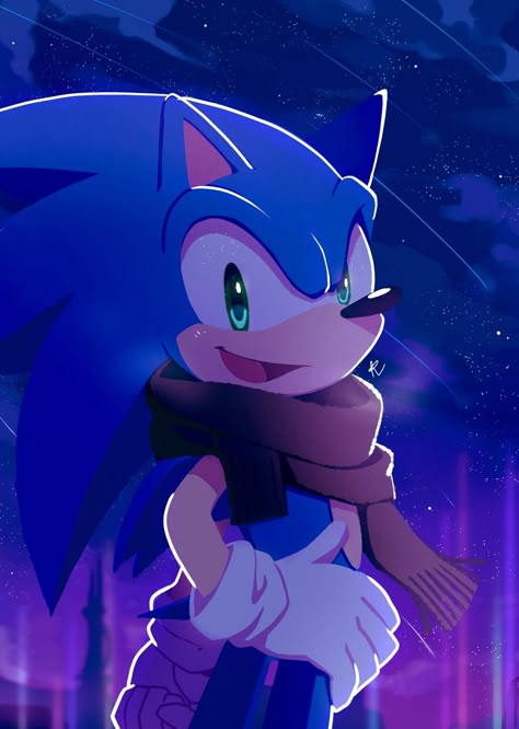 Sonic The Hedgehog Halloween, Sonic X Shadow, Sonic X, Sonic Heroes, Silver The Hedgehog, Sonic And Amy, Sonic Fan Characters, Blue Hedgehog, Sonic Franchise