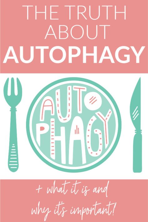 What is autophagy, and what does it do for us? Today, I’m sharing the science on this process of “cellular-recycling,” including what causes it, why it is important, and how we can potentially induce autophagy ourselves. Proponents of fasting say that fasting induces autophagy, so today we are taking a look at what the research has to say! Autophagy Fasting Before And After, Fasting For Healing, Fasting Autophagy, Autophagy Fasting, Intermittent Fasting Success Stories, What Is Autophagy, Normal Heart, Killer Abs, Healing Waters