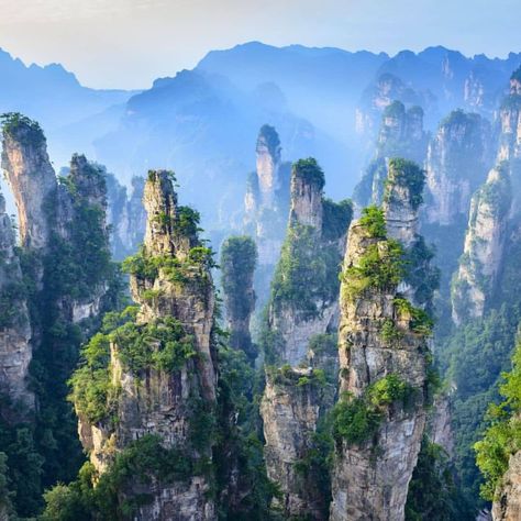 Tianzi mountain, China🇨🇳 Tag a friend doesn't follow me Zhangjiajie, Floating, China